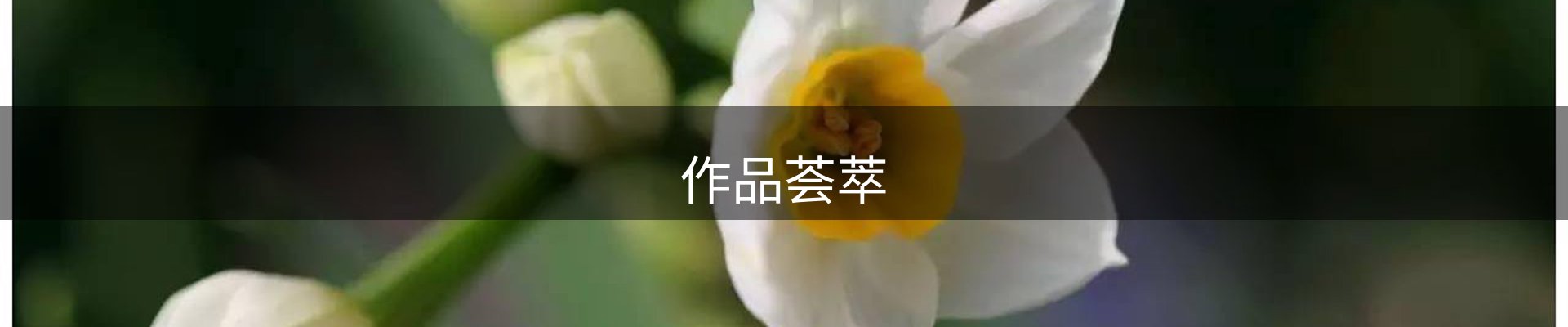 作品荟萃
